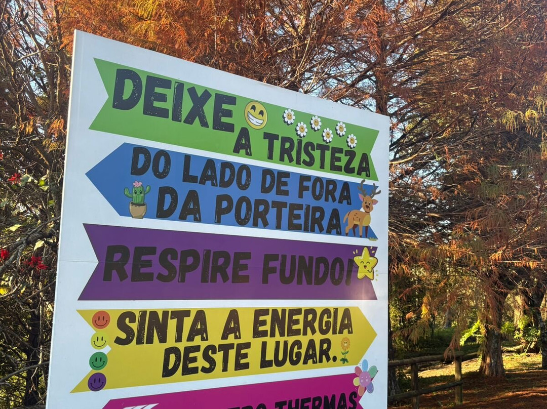 Maestro Termas Park Hotel主图