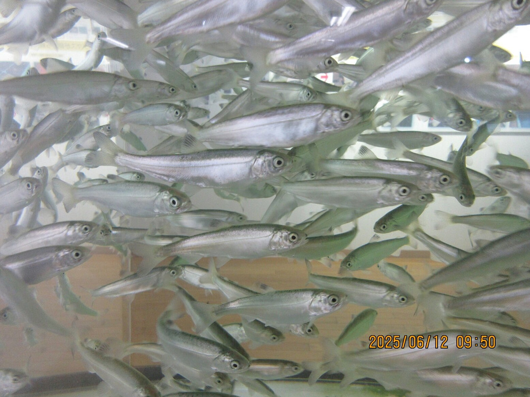 Towadako Tourism Exchange Center Puratto-十和田市必去景点