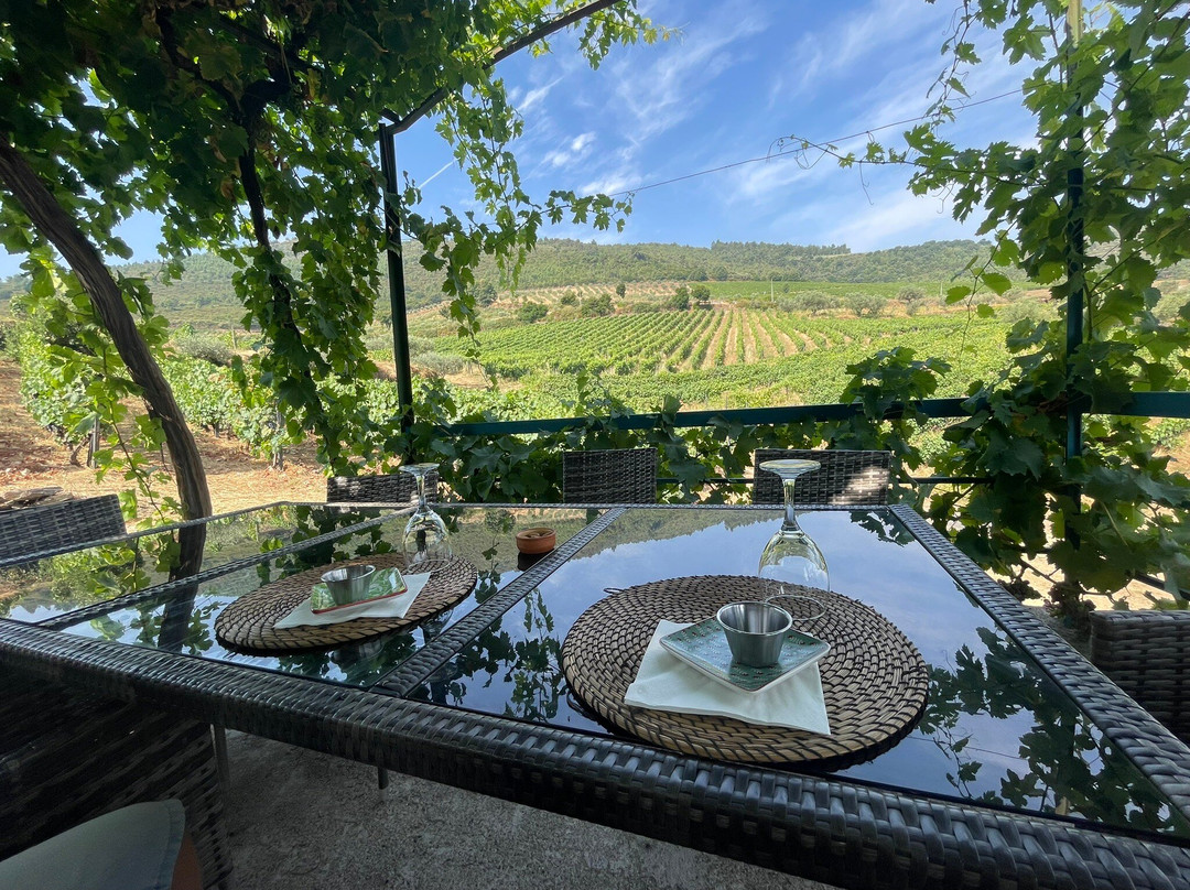 Quinta da Fonte do Milho-Provesende必去景点