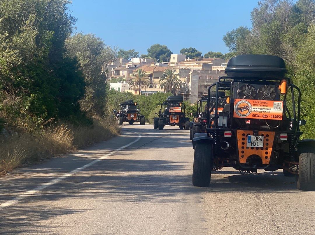 Buggy 4 Fun-卡拉米略尔必去景点