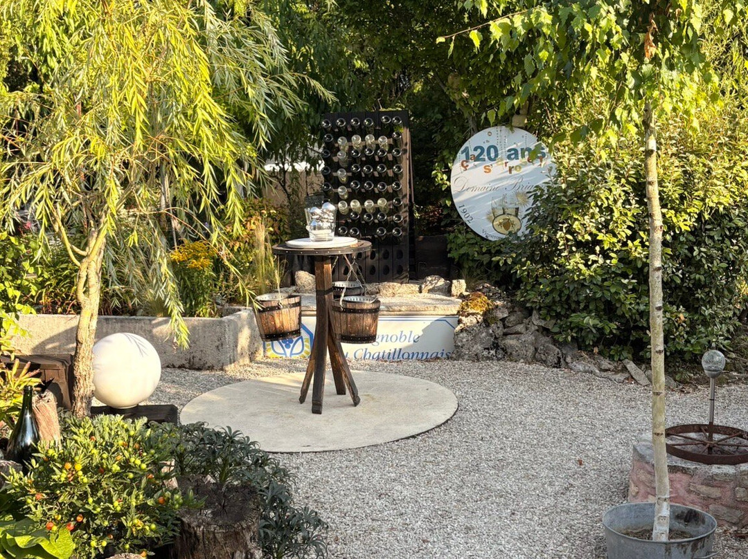 Oenocentre Ampelopsis-Massingy必去景点