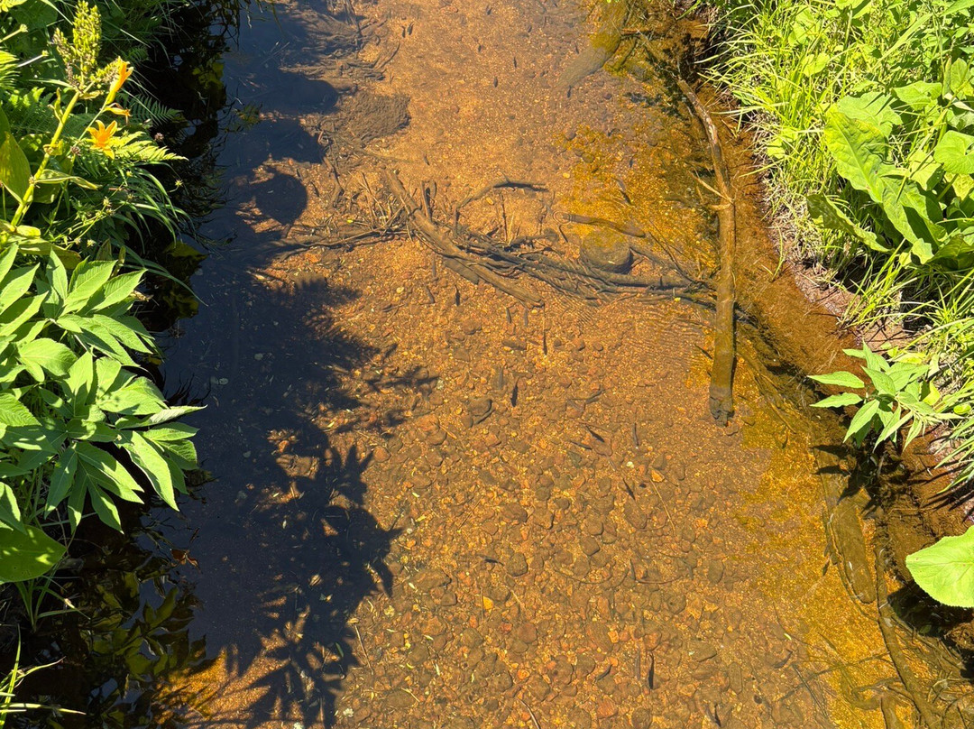 Ozenuma Lake-桧枝岐村必去景点