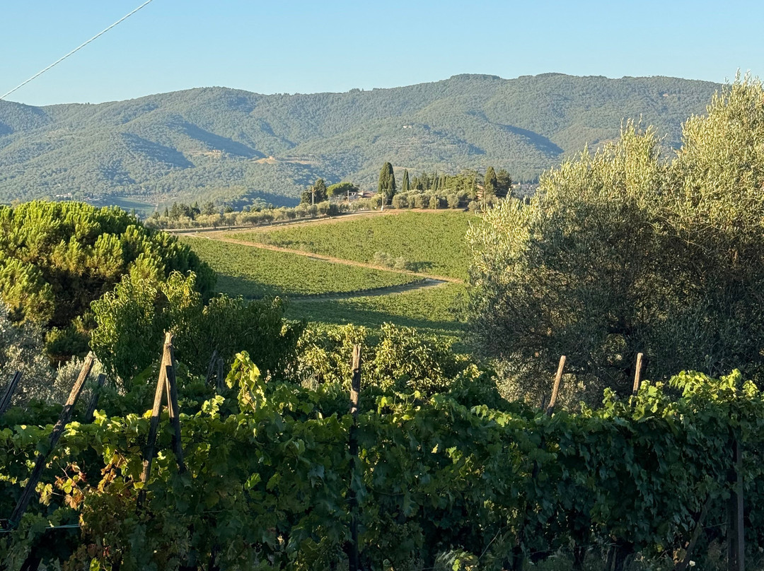 Podere Bucine Winery-格雷韦伊恩基亚恩蒂必去景点