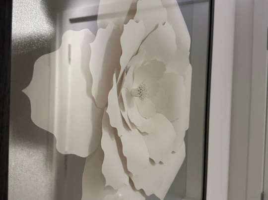 Radisson Blu Chicago Art Gallery-芝加哥必去景点