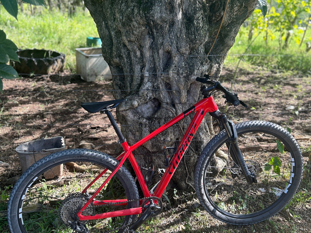 Aventuras Costa Rica-Atenas必去景点