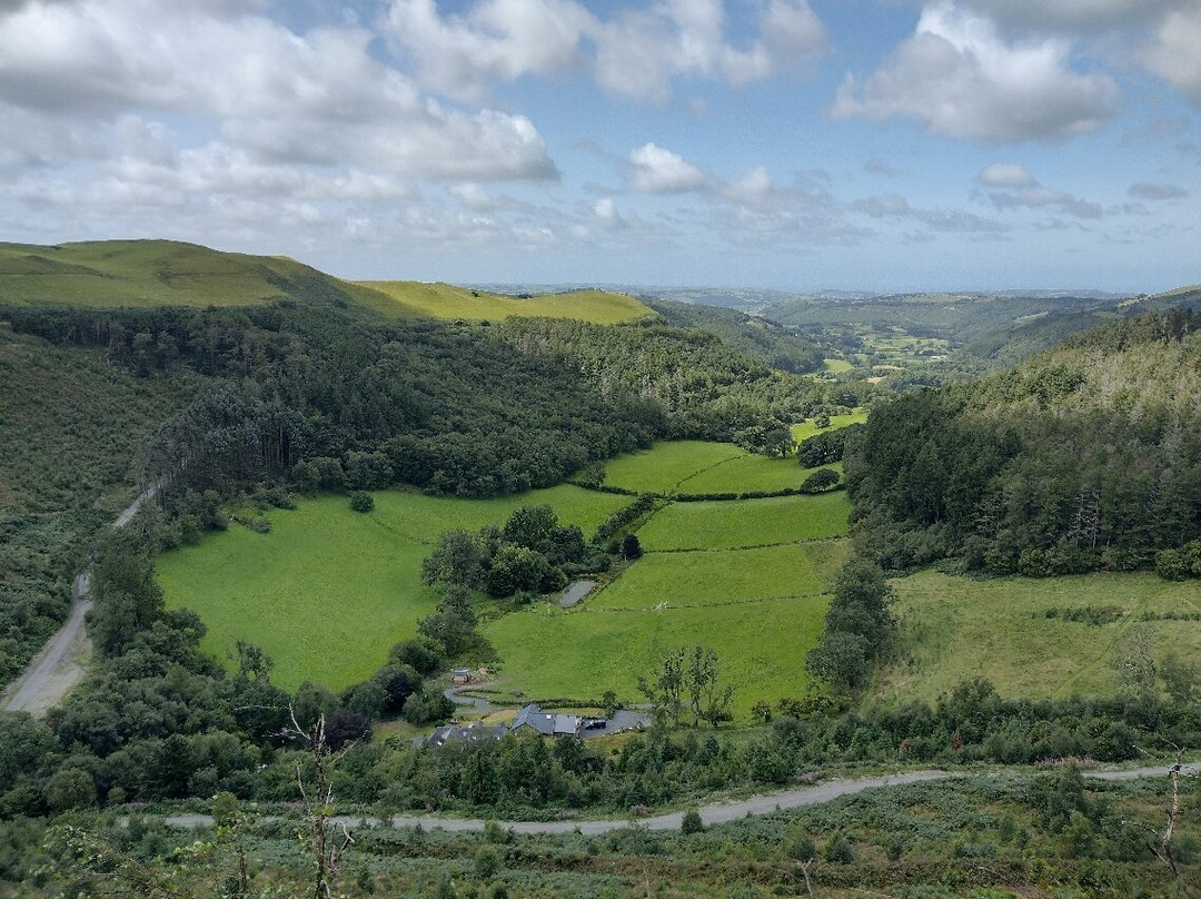 Bwlch Nant yr Arian Forest Visitor Centre-阿伯里斯特威斯必去景点