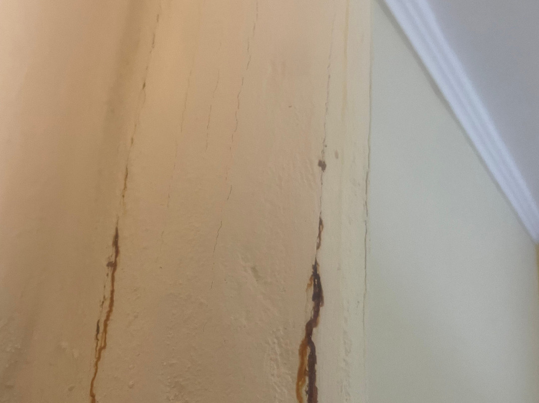 Logan's Beach Hotel主图