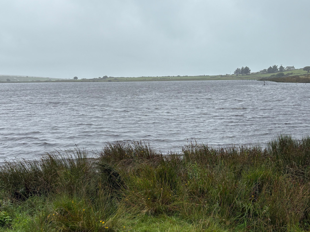 Dozmary Pool-博德明必去景点