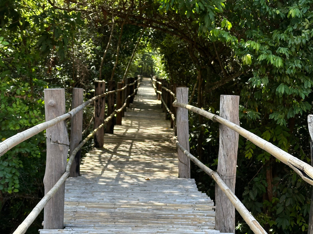 Kulen Elephant Forest-暹粒必去景点