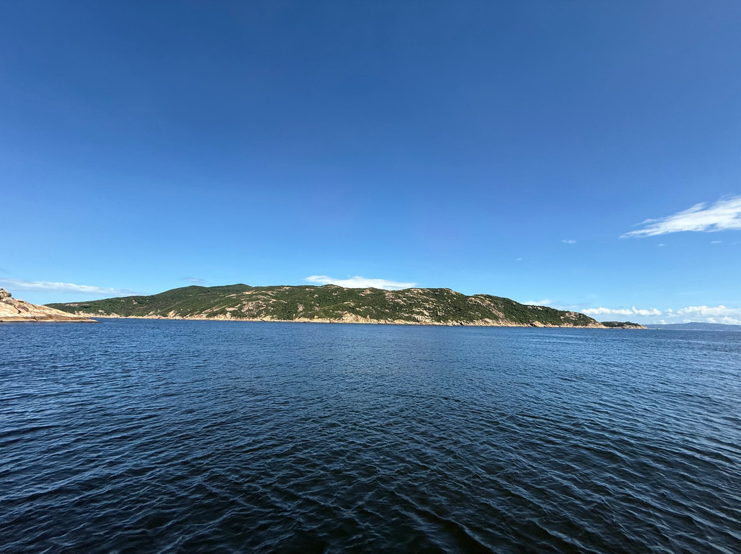 Hong Kong Junks-香港必去景点