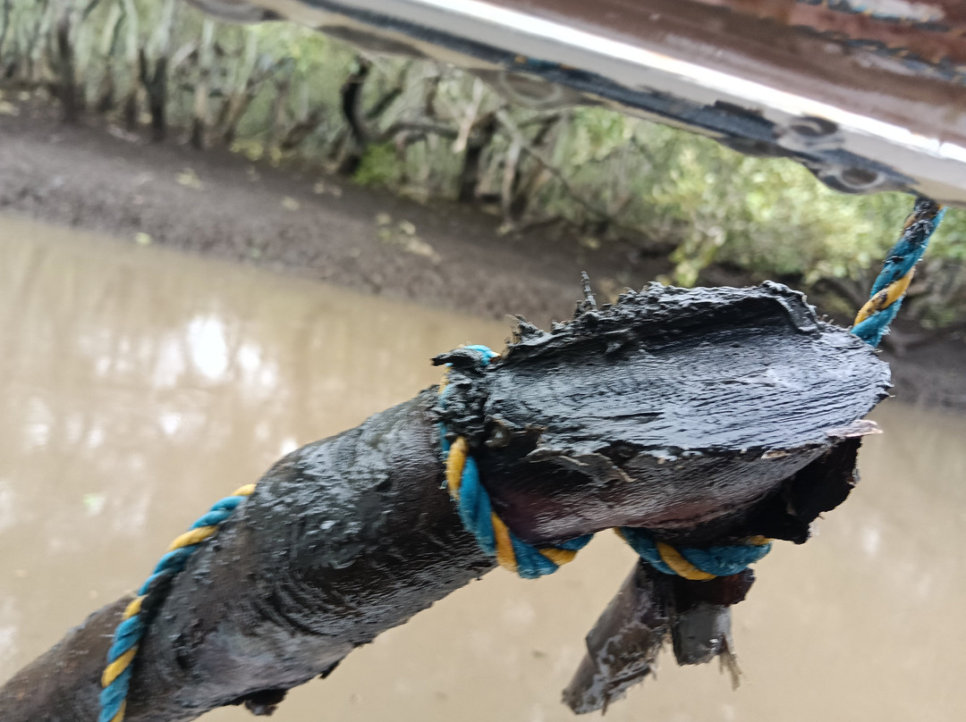 Shorncliffe Beach-布里斯班必去景点