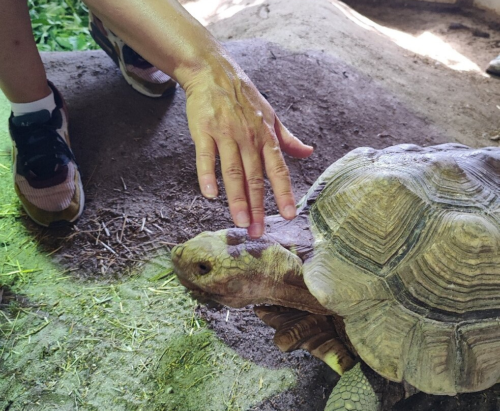 Dierenpark Zie-Zoo-Volkel必去景点