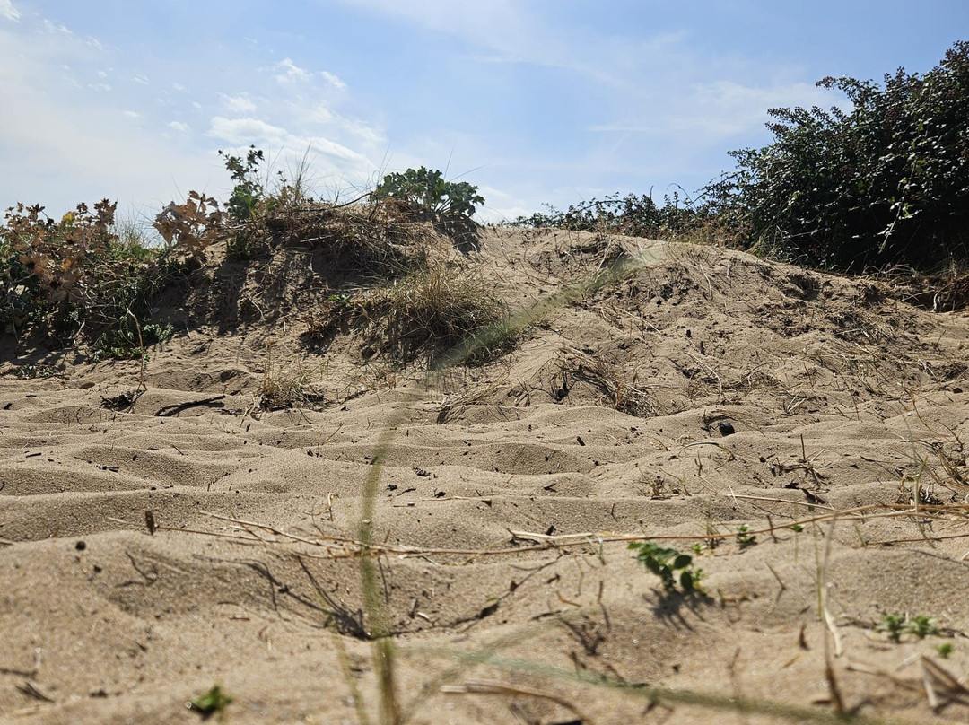 Shoebury East Beach-Shoeburyness必去景点