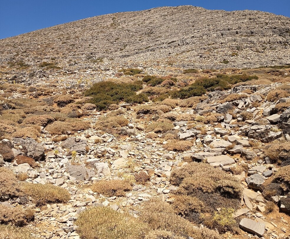 Psiloritis Mountain-Anogia必去景点