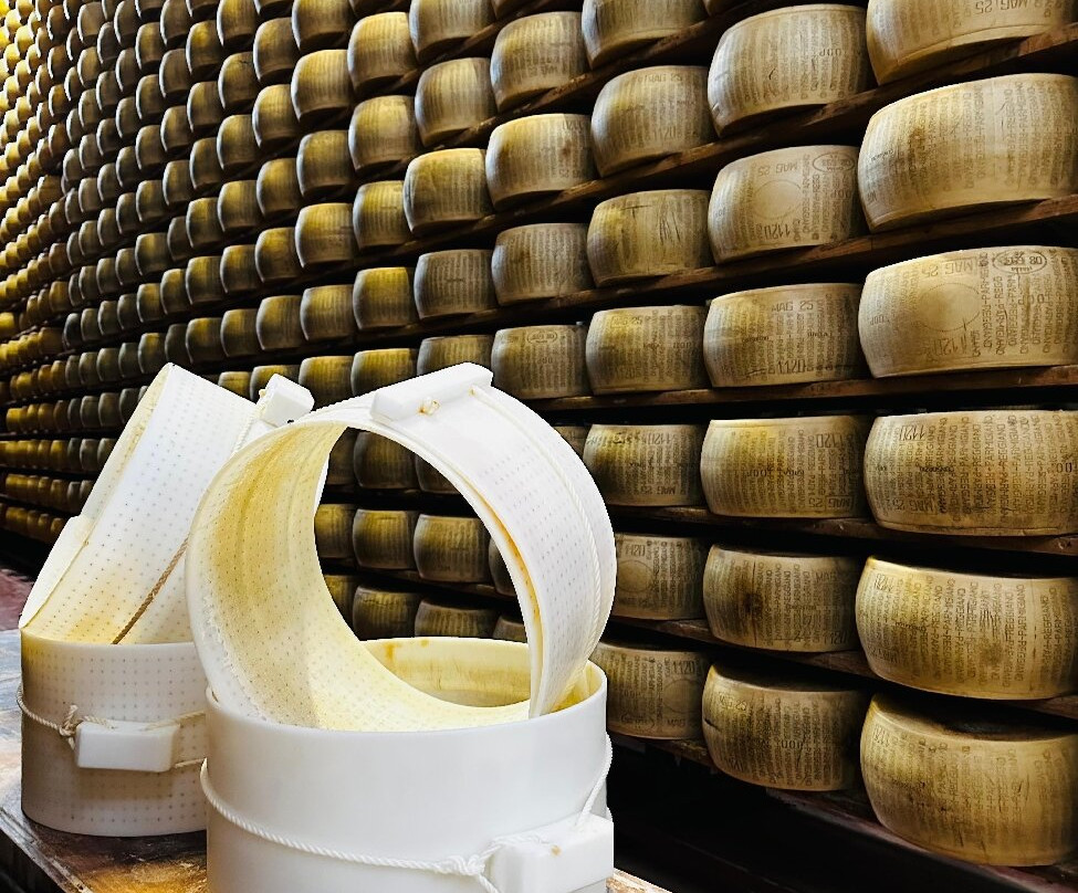 Azienda Agricola Moscattini-Formigine必去景点