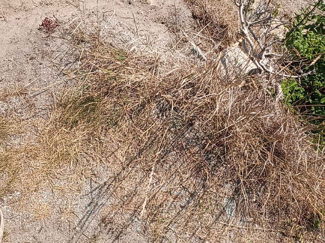 Schoodic Point-Winter Harbor必去景点