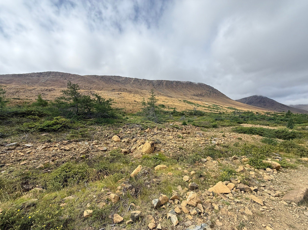 Gros Morne Transportation & Tours-Woody Point必去景点