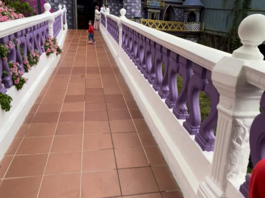 Cameron Lavender-碧兰璋必去景点