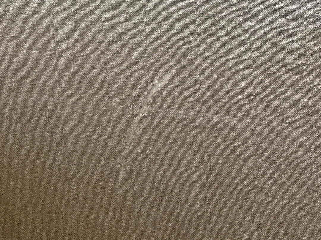 Aloft Buffalo Airport主图