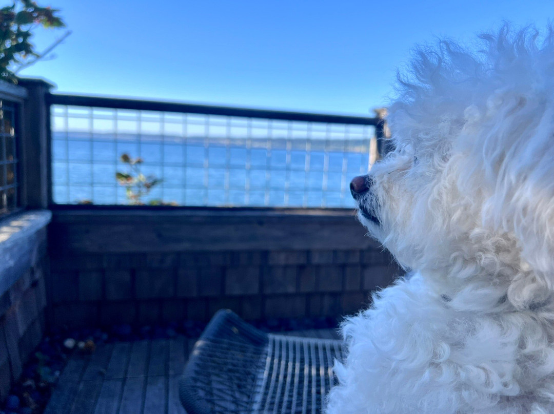 Inn at Langley主图