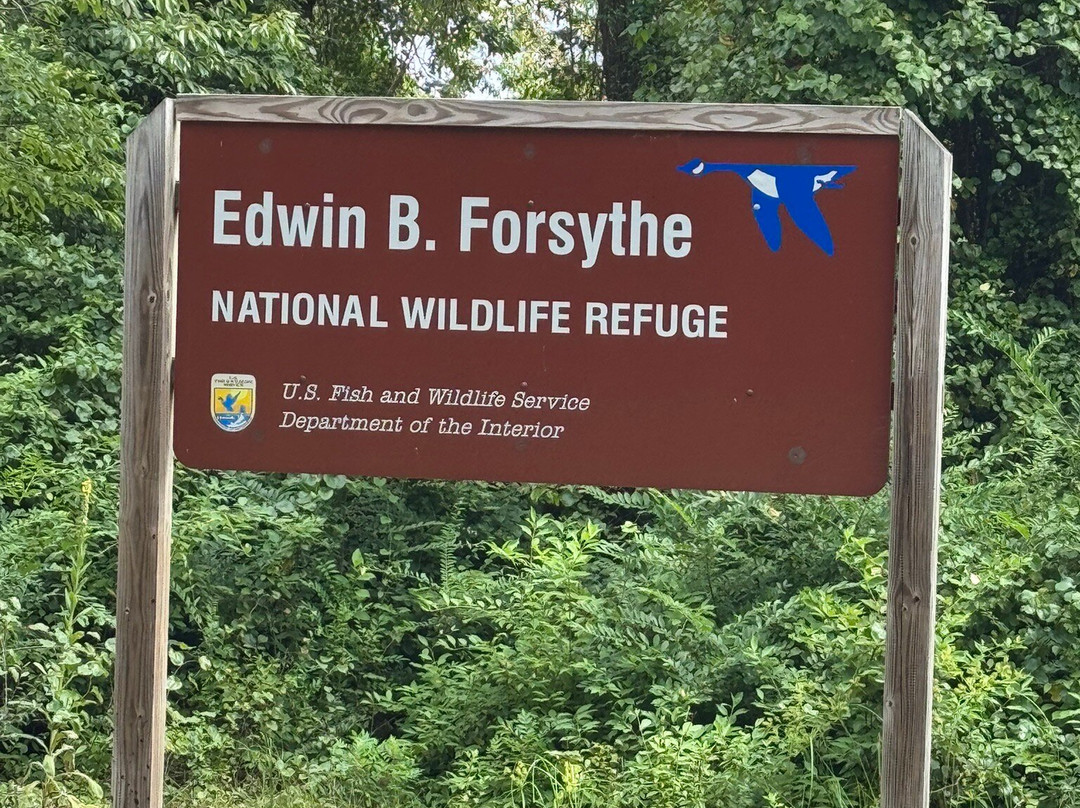 Edwin B. Forsythe National Wildlife Refuge-Oceanville必去景点