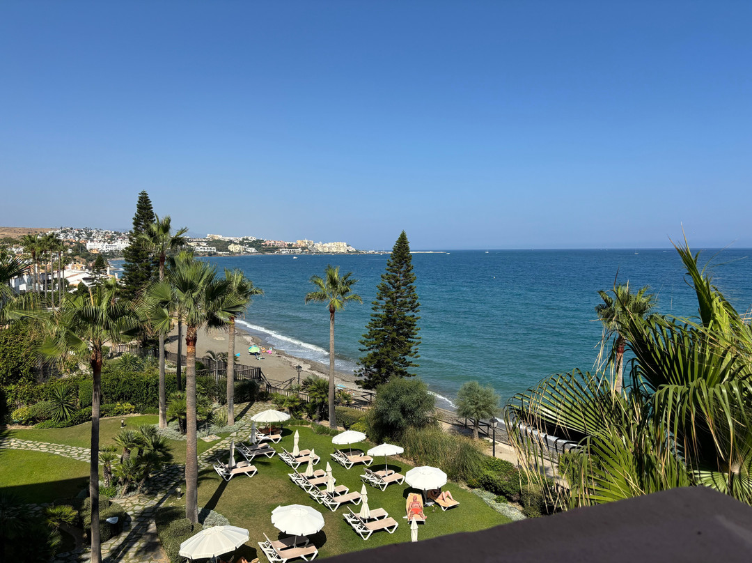 Elba Estepona Gran Hotel & Thalasso Spa主图