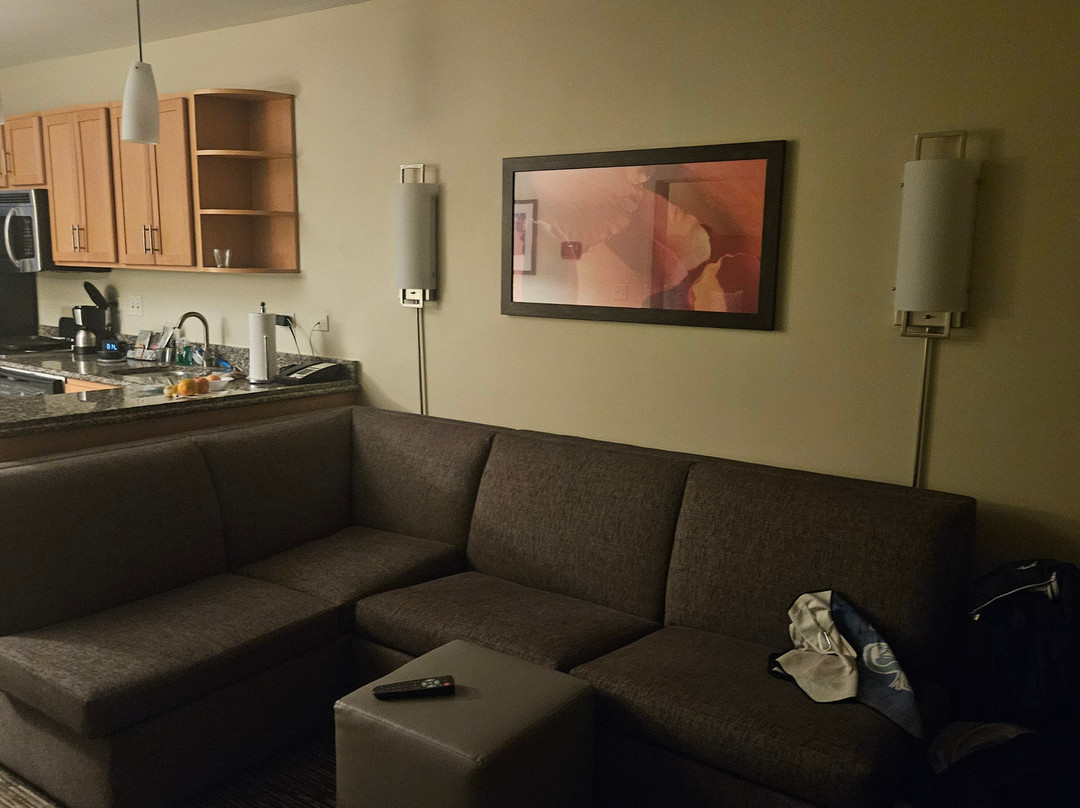 Hyatt House Chicago/Naperville/Warrenville主图