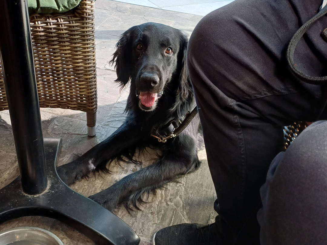 格林莱恩酒店主图