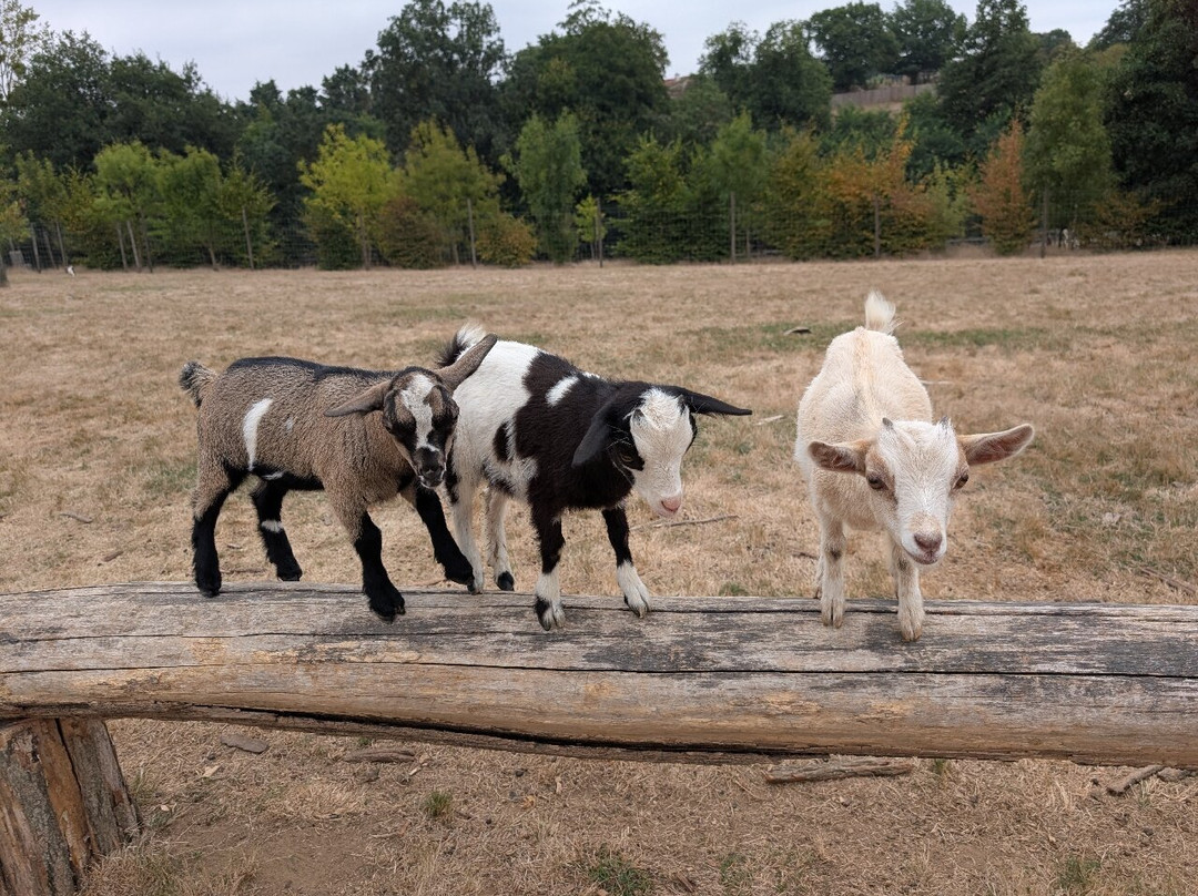Natural'Parc-Saint-Laurent-des-Autels必去景点
