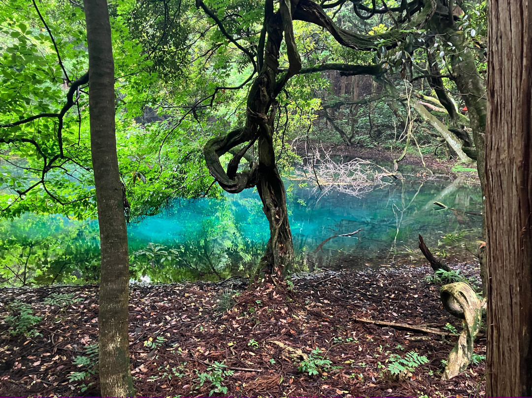 Maruiikesama Pond-游佐町必去景点