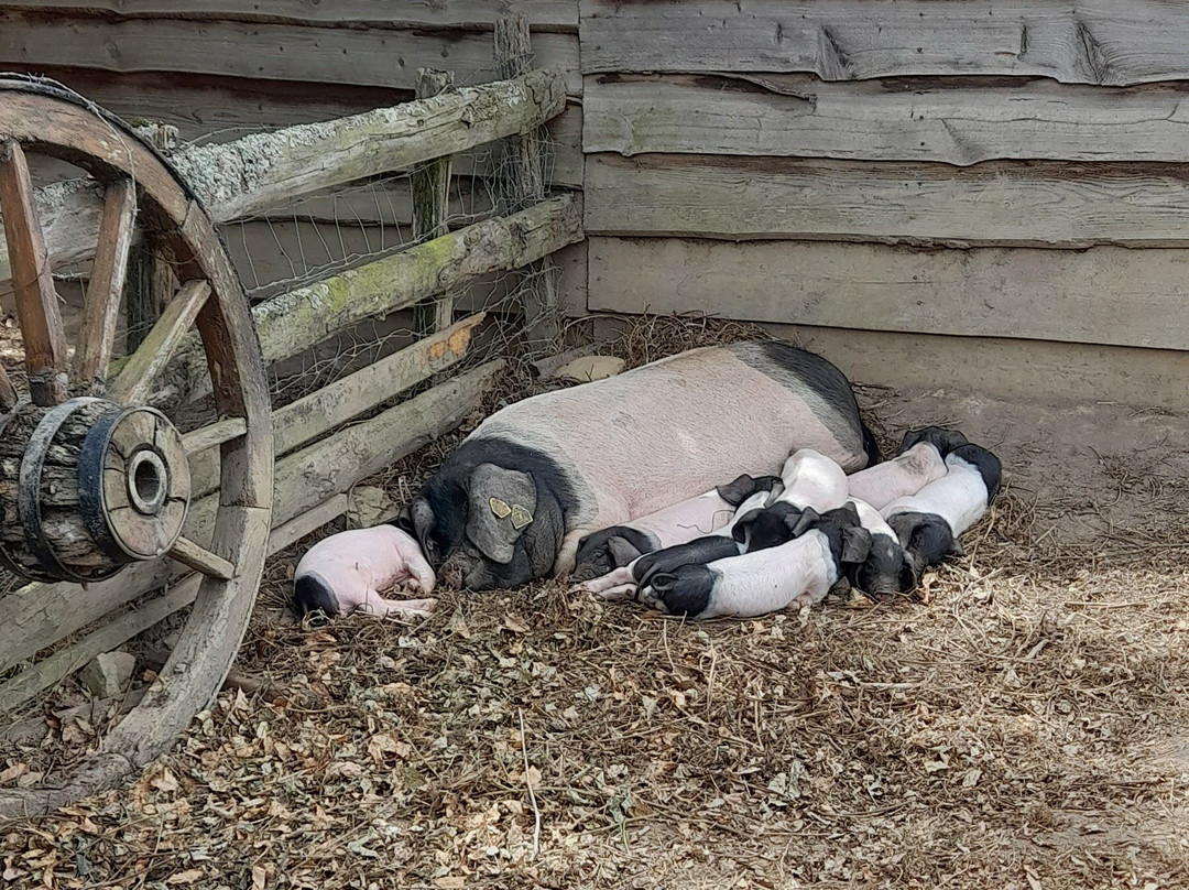 Pierre Oteiza-Aldudes必去景点