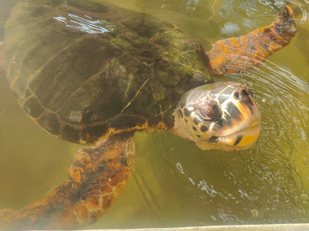 奥赛海滩酒店主图