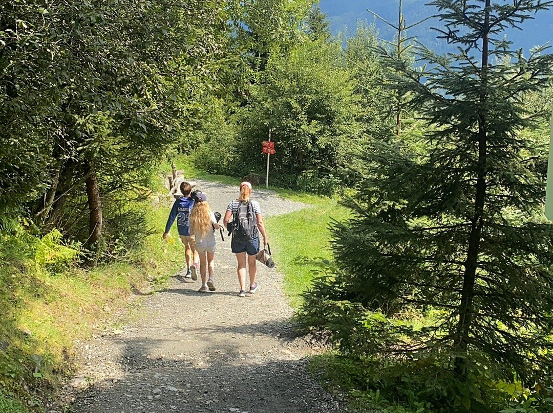 Rutschenweg Am Wildkogel