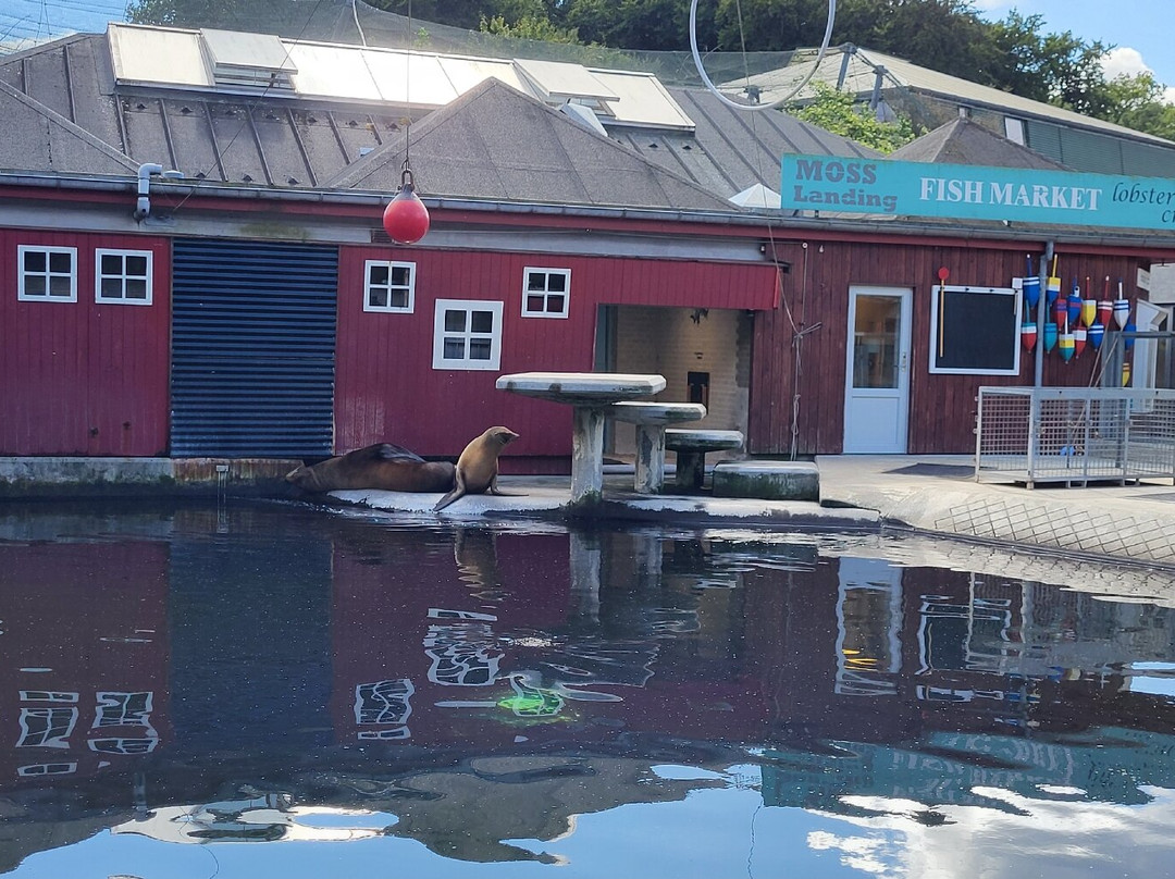 Odense Zoo-欧登塞必去景点