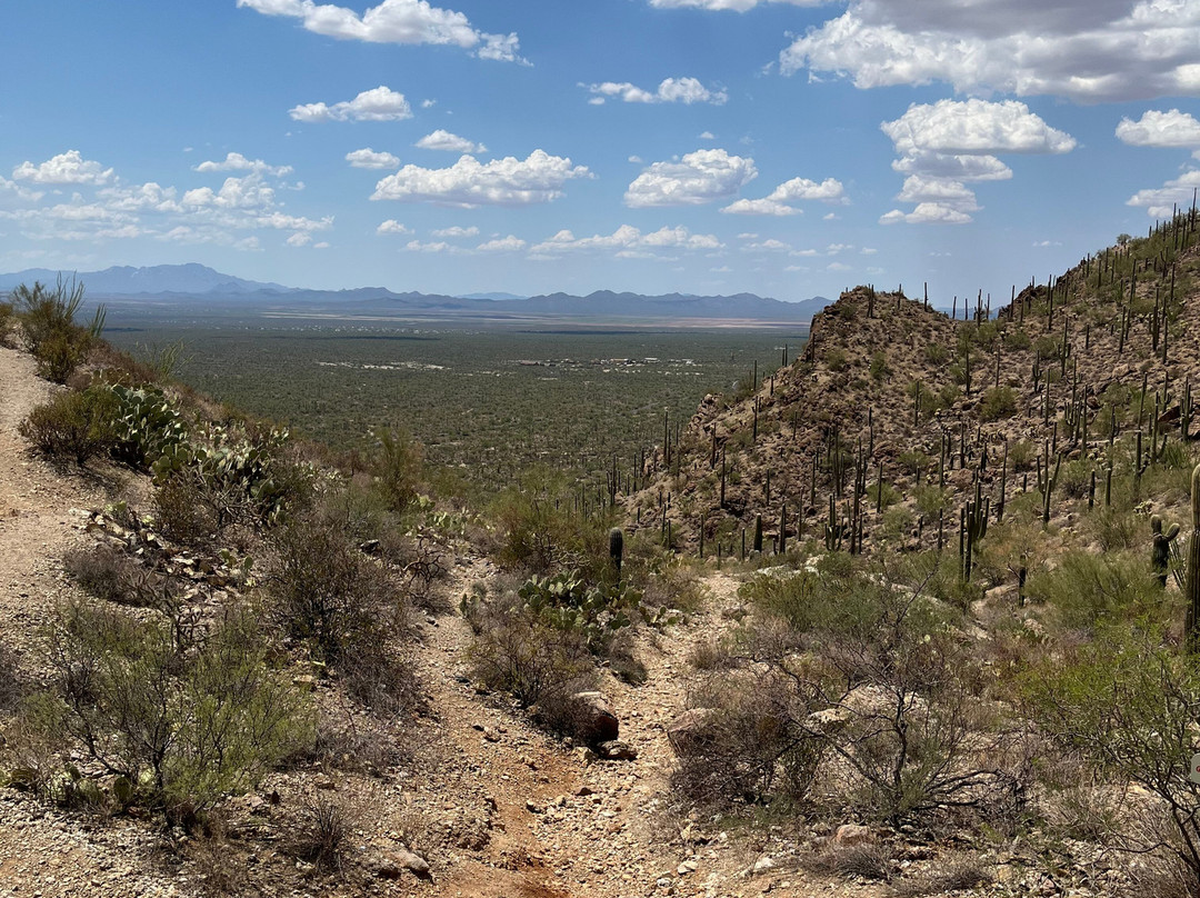 Gates Pass-图森必去景点