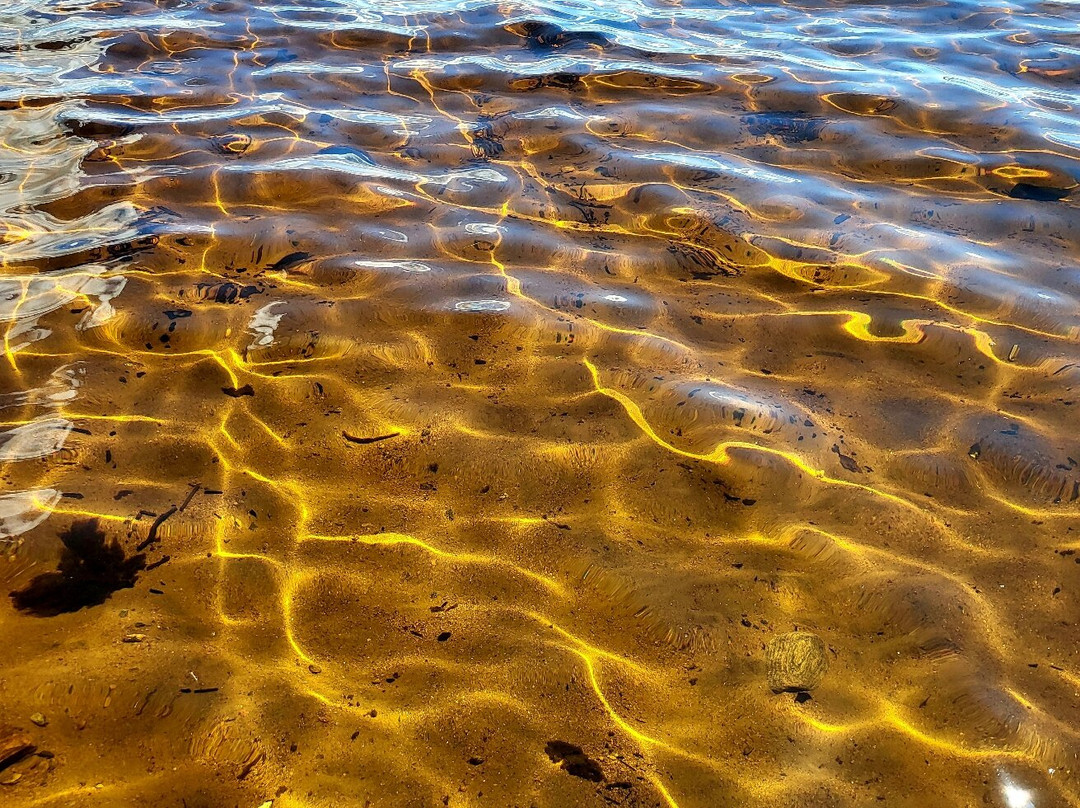 Bonnechere Provincial Park-Bonnechere必去景点