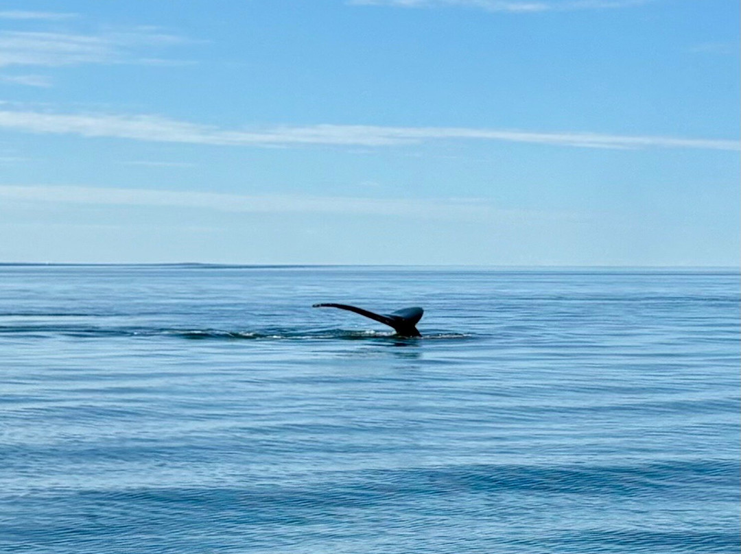 Croisières Essipit-Grandes-Bergeronnes必去景点