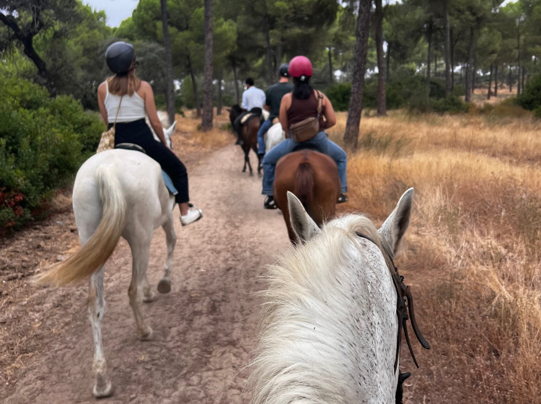 Dehesa Boyal-Villamanrique de la Condesa必去景点