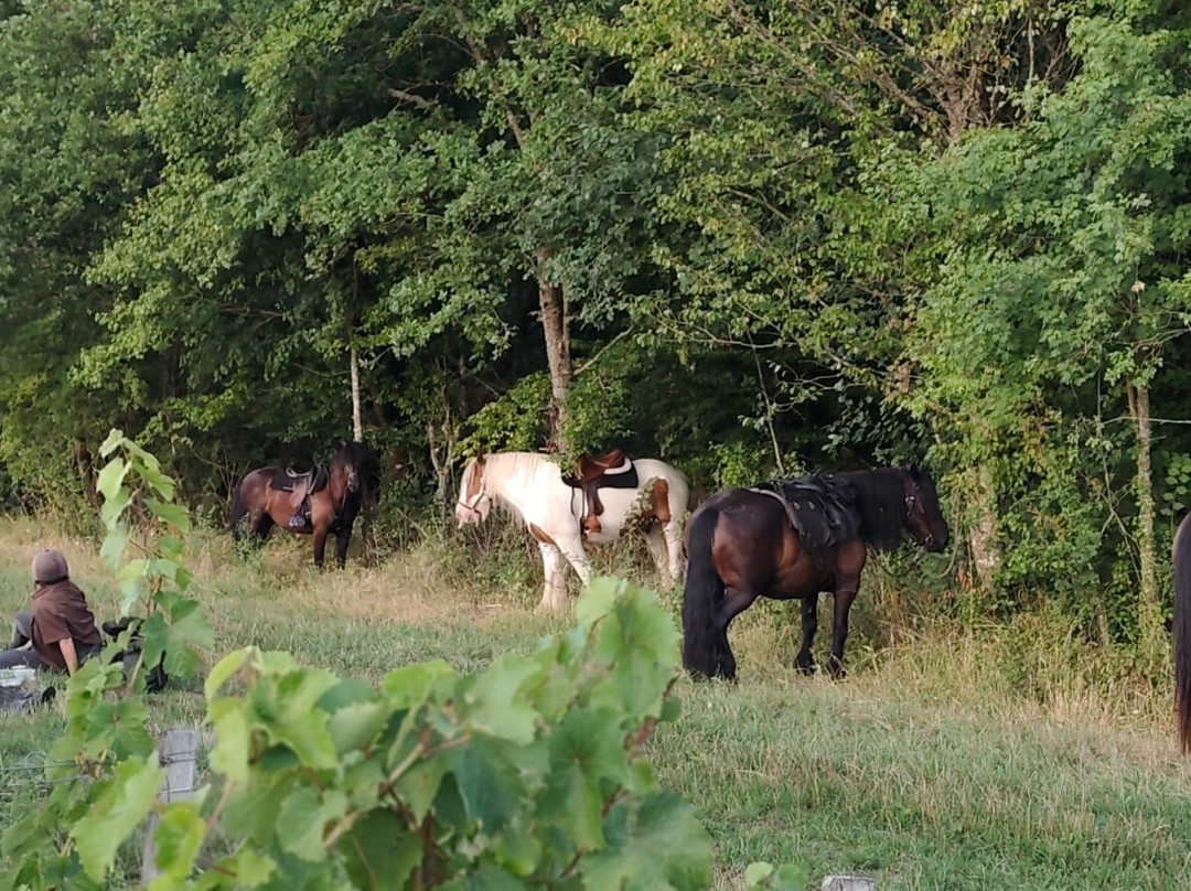 Horse Journey-Saint-Martin-le-Beau必去景点
