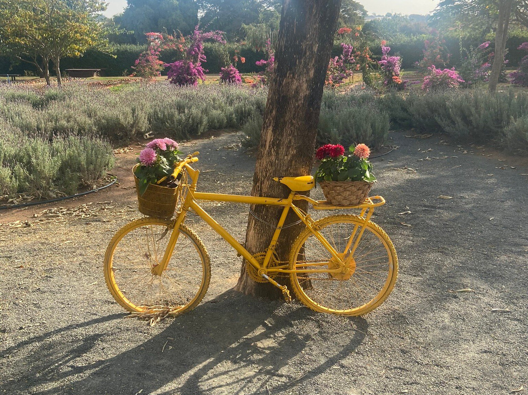 Bloemen Park-Holambra必去景点