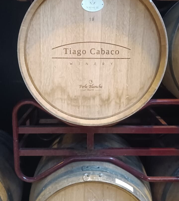 Tiago Cabaço Winery-Estremoz必去景点
