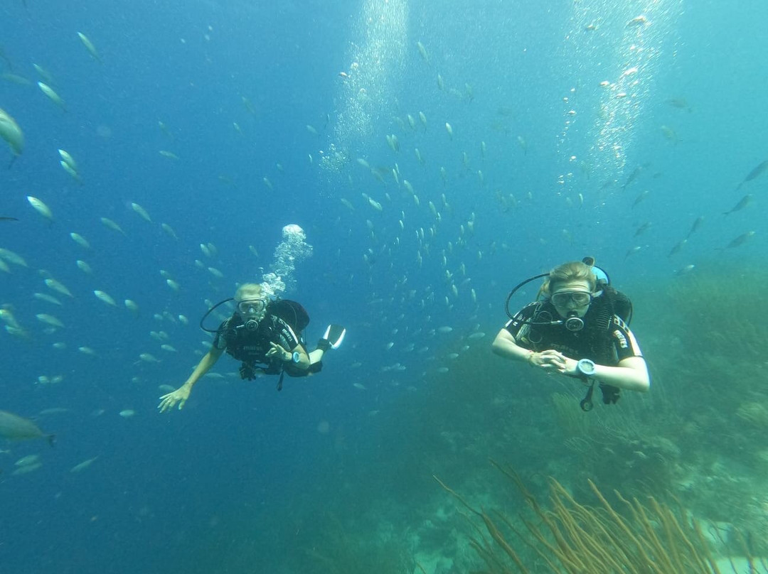 Reef Divers Bonaire-Belnem必去景点