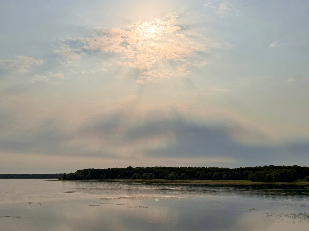 Aube Regional Natural Park of the Orient Forest-Grand Est必去景点