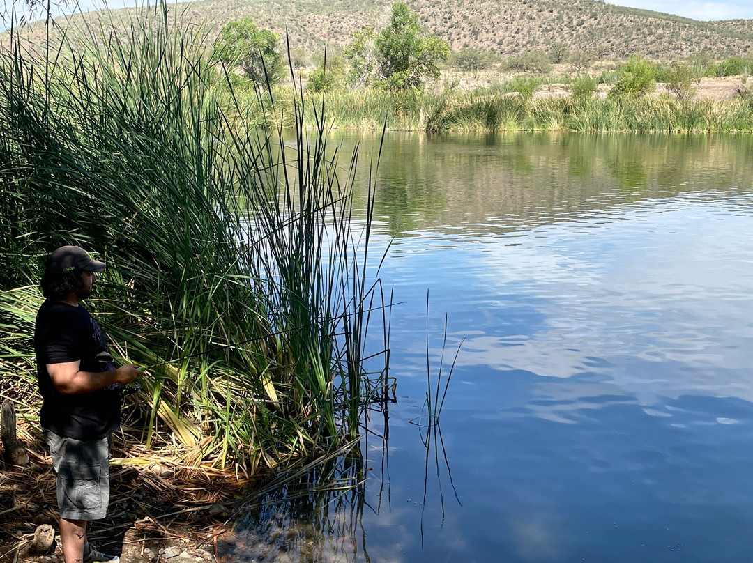 Patagonia Lake State Park-Patagonia必去景点