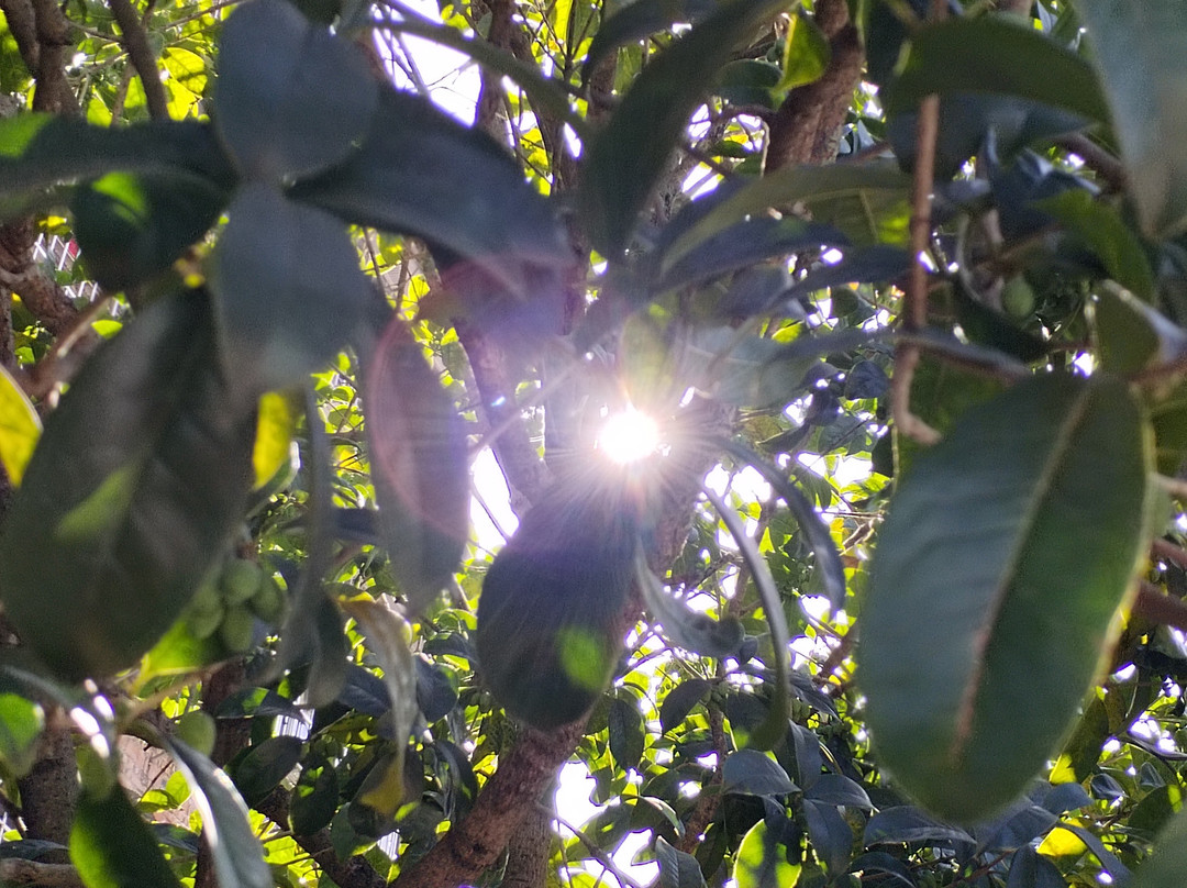 成都海湾大酒店主图