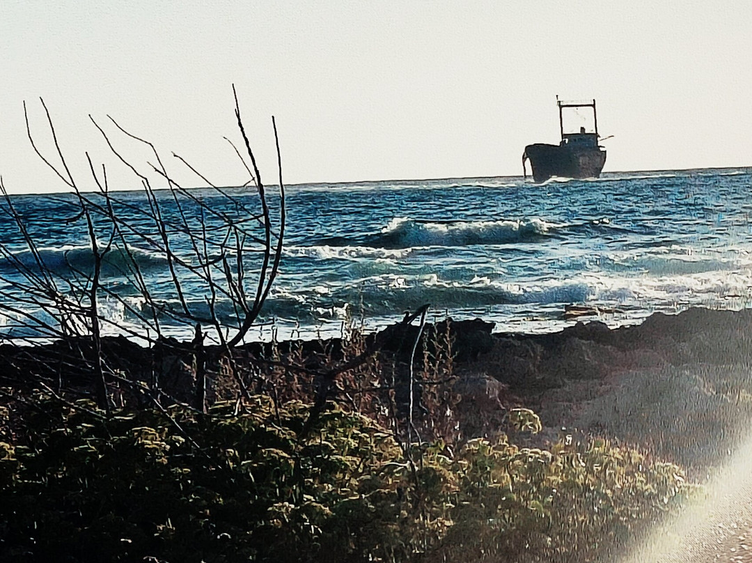 Shipwreck MV Demetrios II-Chloraka必去景点