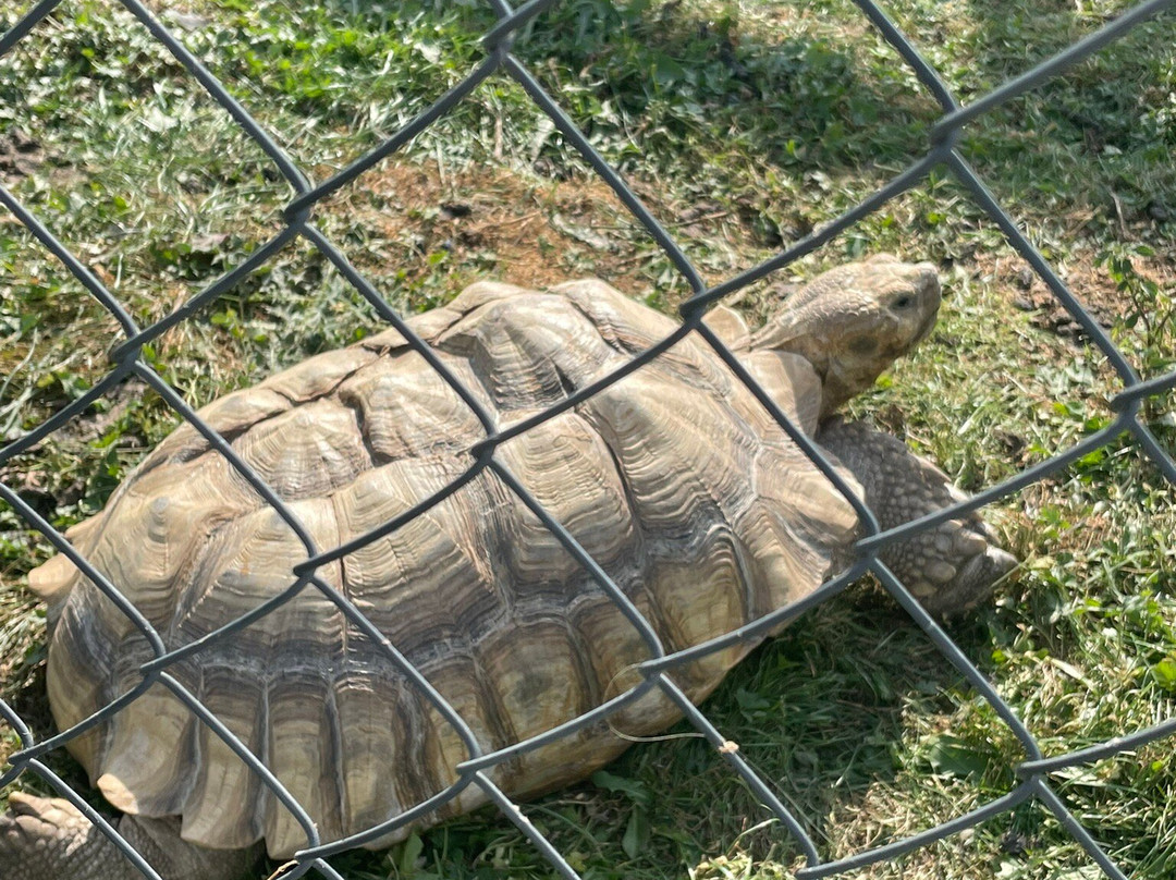 Odsherred Zoo Rescue-Asnaes必去景点