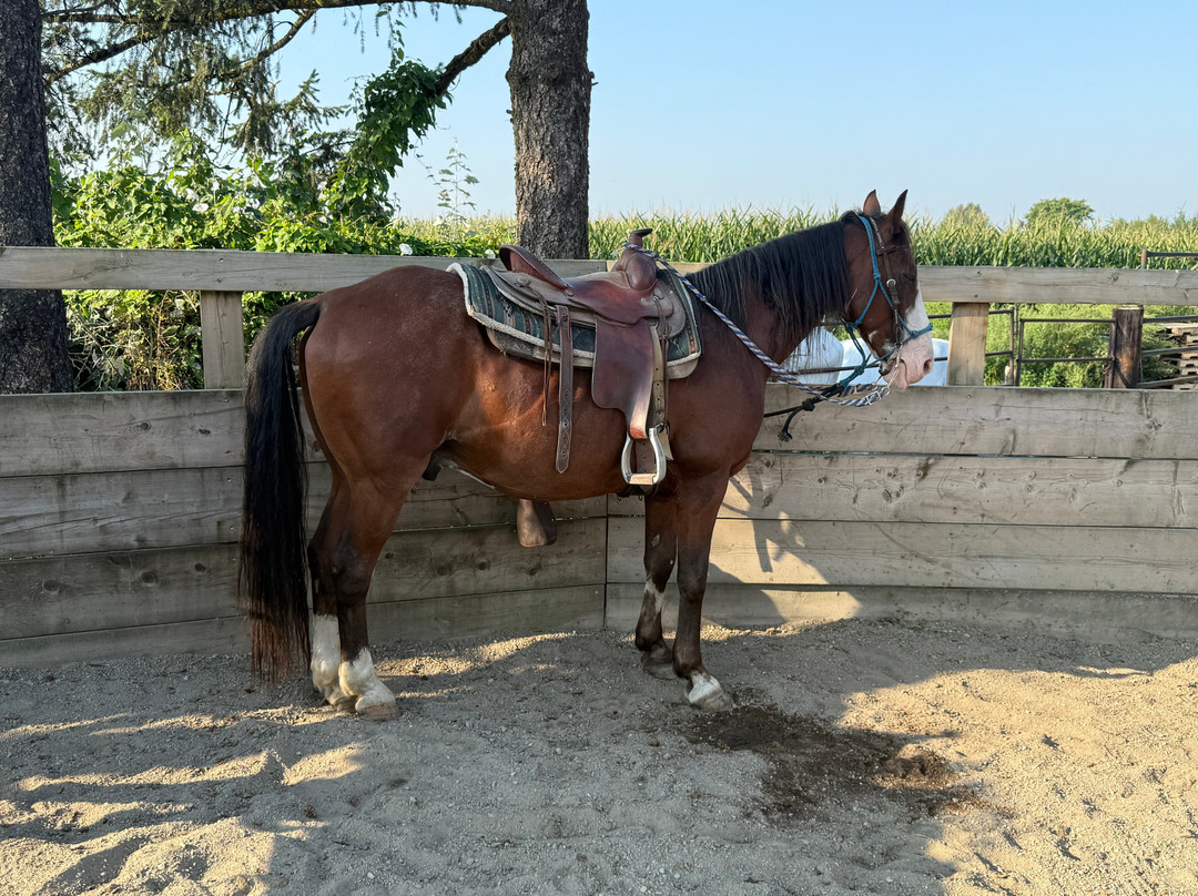 Leghorn Ranch-匹特草原必去景点