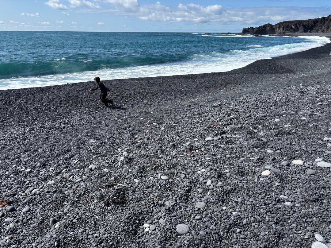 Djupalonssandur Beach-Hellnar必去景点