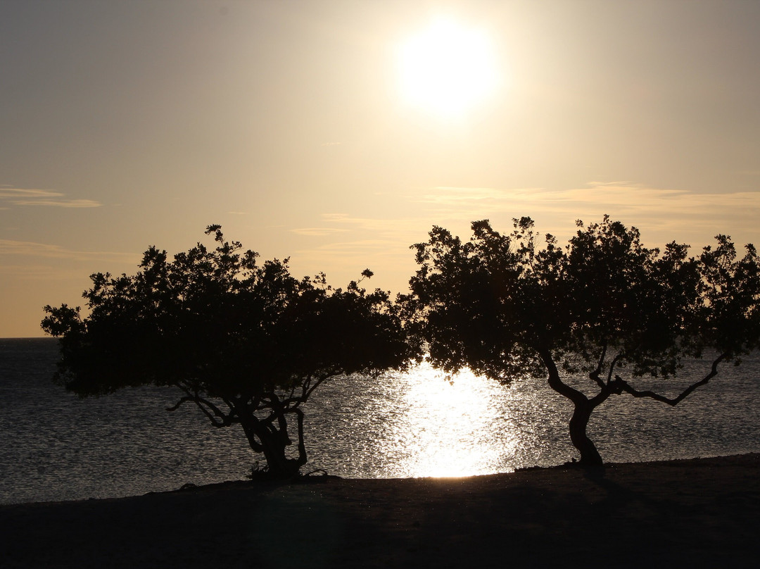 Surfside Beach-奥腊涅斯塔德必去景点